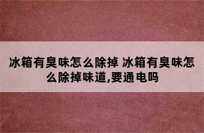 冰箱有臭味怎么除掉 冰箱有臭味怎么除掉味道,要通电吗